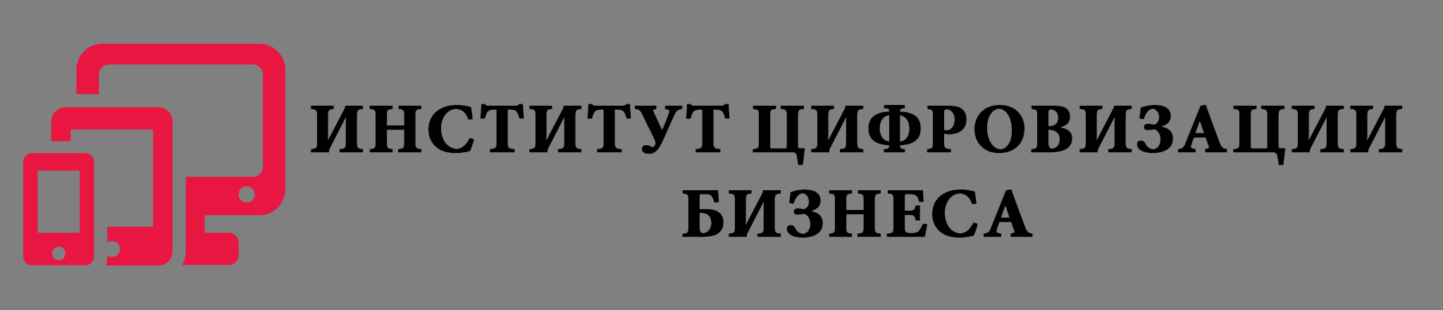 Институт цифровизации бизнеса
